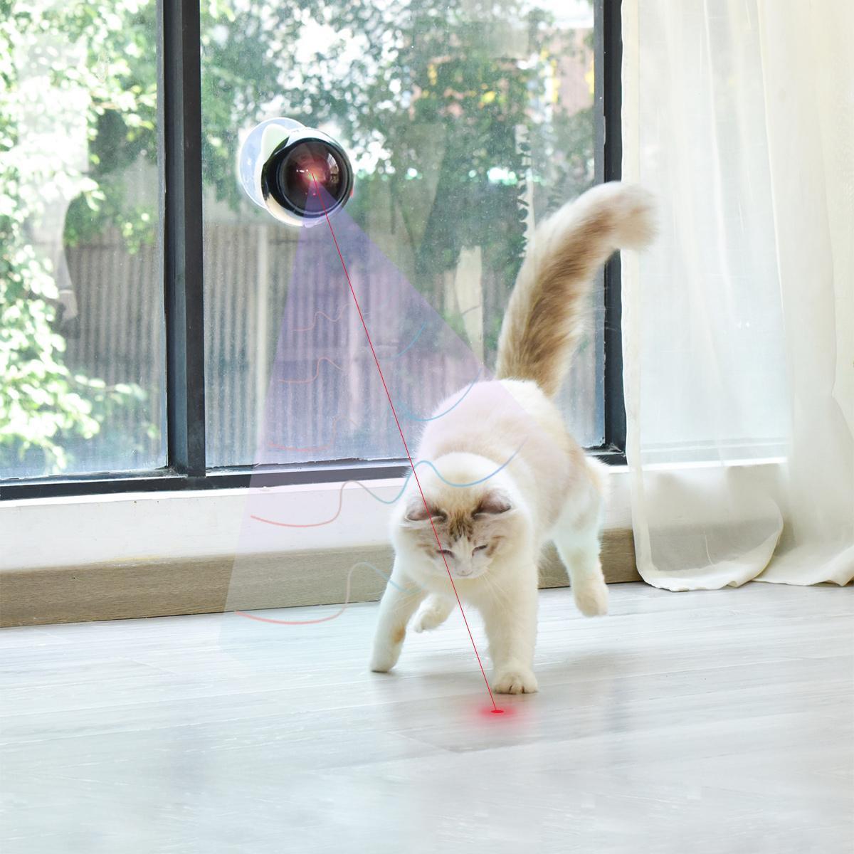 10 Best Automatic Laser Cat Toy 2023 - Buyer's Guide